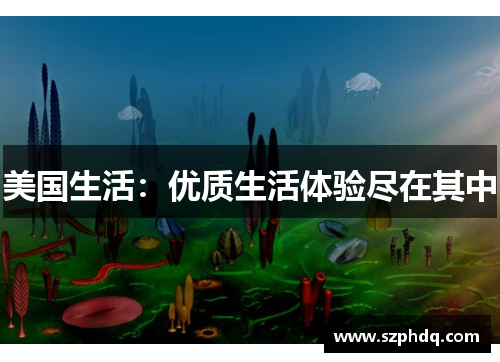 美国生活:优质生活体验尽在其中 美国生活:优质生活体验尽在其中